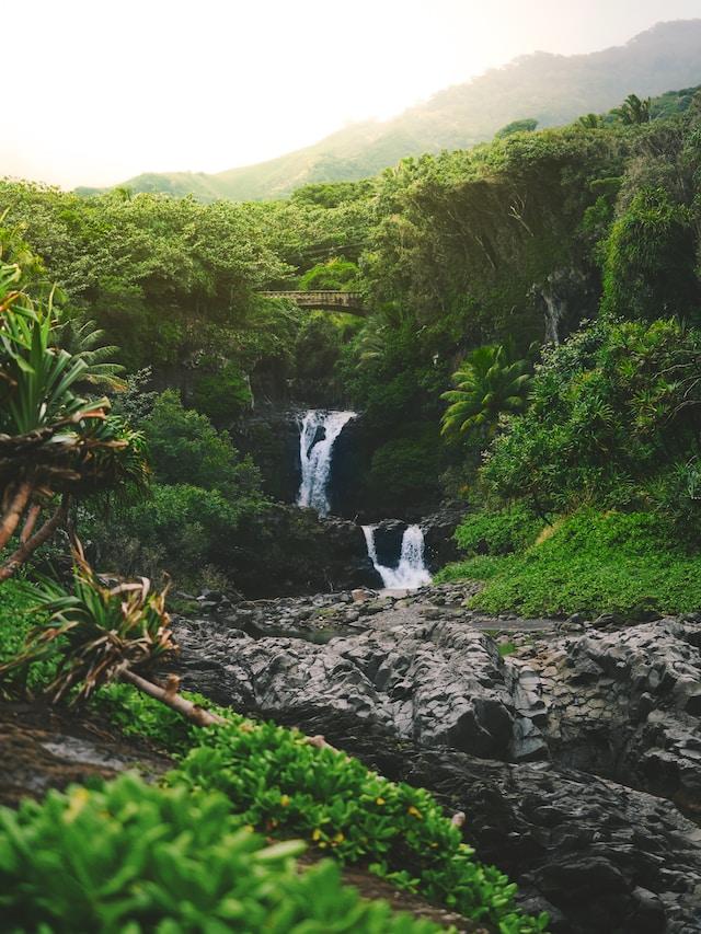 MEGHALAYA