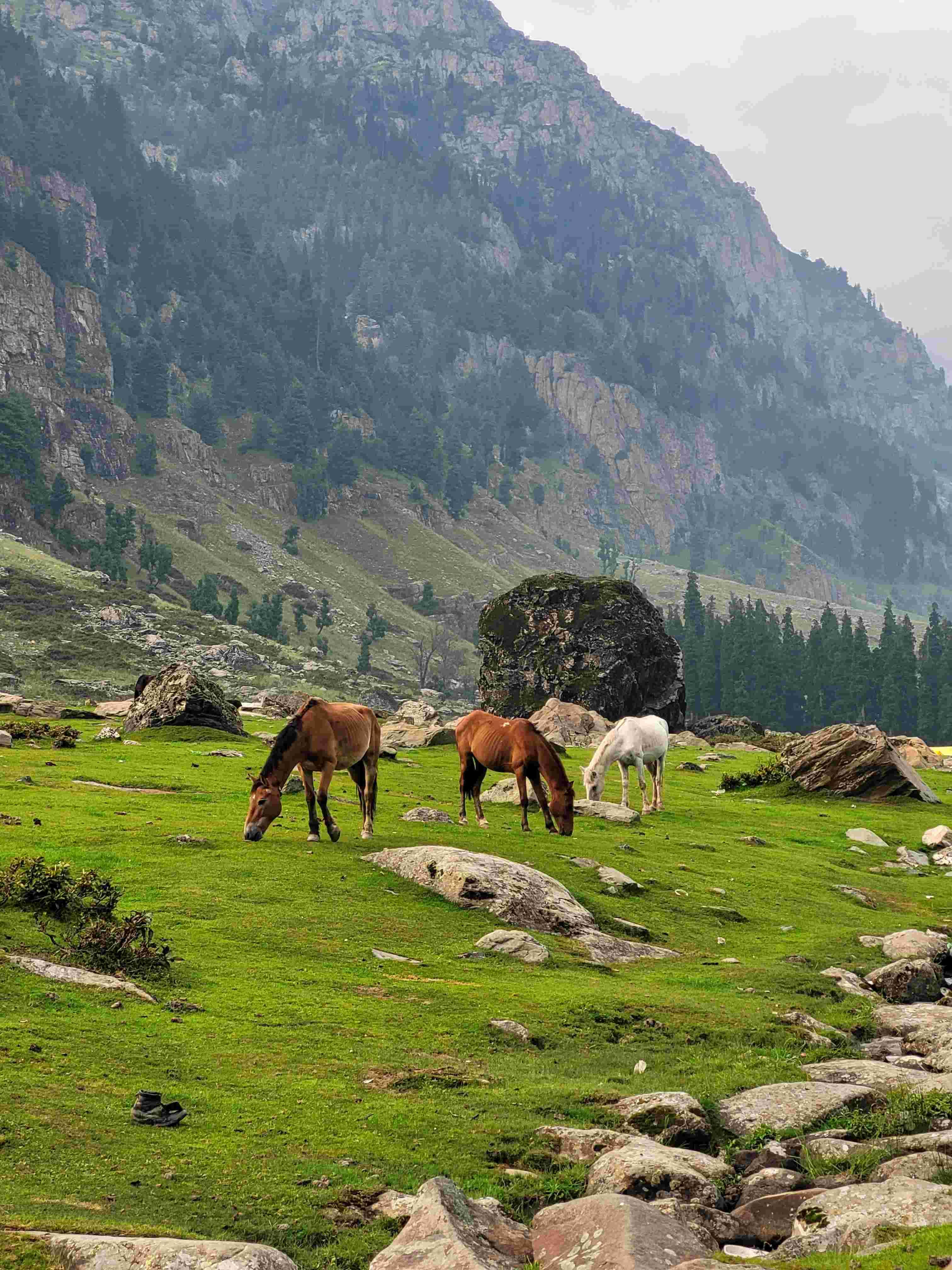 Luxury Kashmir Tour Packages